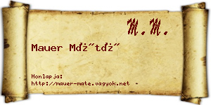 Mauer Máté névjegykártya
